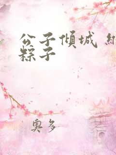 公子倾城 维和粽子