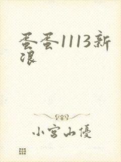 蛋蛋1113新浪