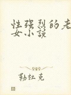 性强烈的老年妇女小说