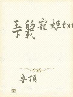 王的宠姬txt下载