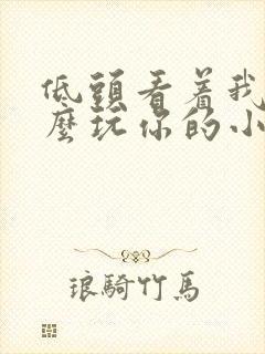 低头看着我是怎么玩你的小说
