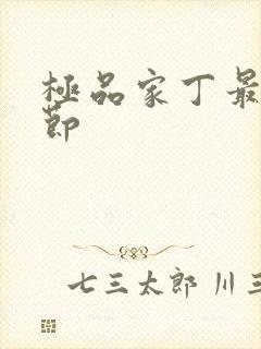 极品家丁最新章节