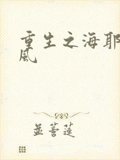 重生之海耶斯旋风