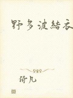 野多波结衣