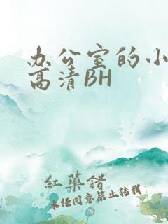 办公室的小秘书高清BH