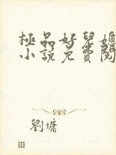 极品好儿媳苏灿小说免费阅读