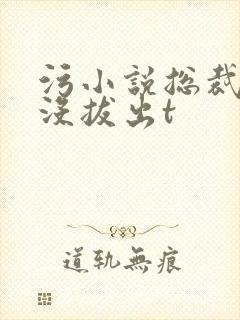 污小说总裁整夜没拔出t