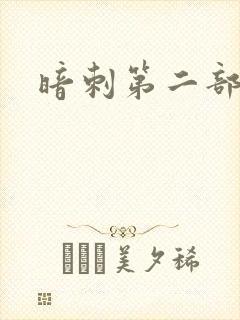 暗刺第二部