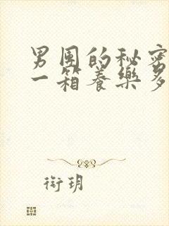 男团的秘密BY一箱养乐多小说