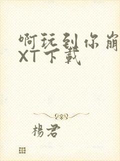 啊玩到你崩溃TXT下载