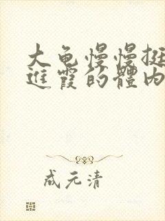 大龟慢慢挺进王进霞的体内