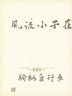 风流小子在异世