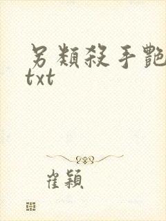 另类杀手艳福星txt