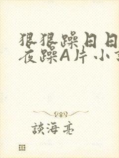 狠狠躁日日躁夜夜躁A片小说