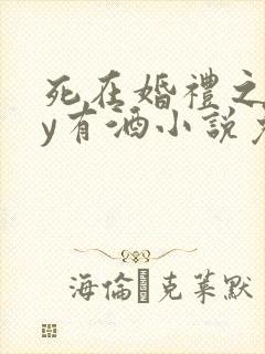 死在婚礼之前by有酒小说免费阅读