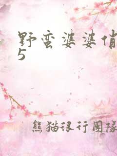 野蛮婆婆俏媳妇5