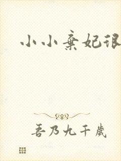 小小弃妃很倾城