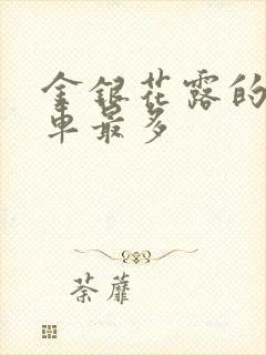 金银花露的哪个车最多