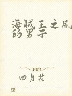 海贼王之风一样的男子