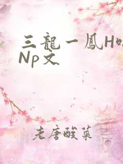 三龙一凤H啪肉Np文