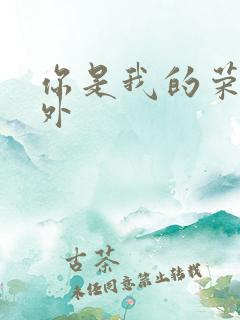 你是我的荣耀番外