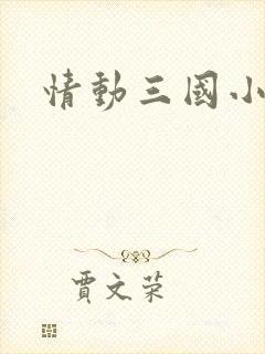 情动三国小说