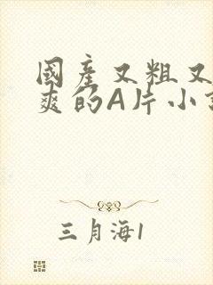 国产又粗又黄又爽的A片小说