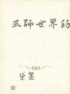 巫师世界的法师