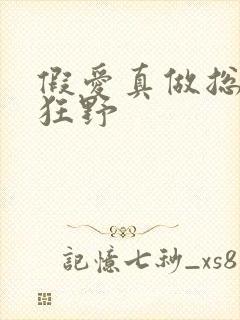 假爱真做总裁太狂野