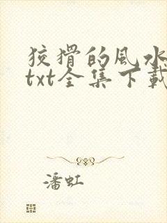 狡猾的风水相师txt全集下载