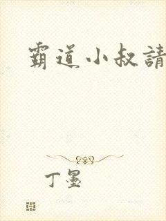 霸道小叔请轻撩