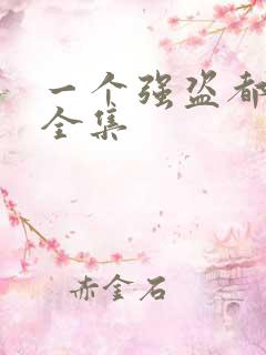 一个强盗都不留全集