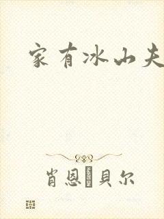 家有冰山夫