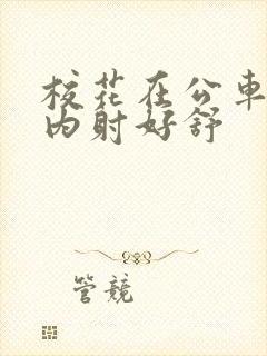 校花在公车上被内射好舒