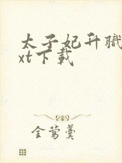 太子妃升职记txt下载