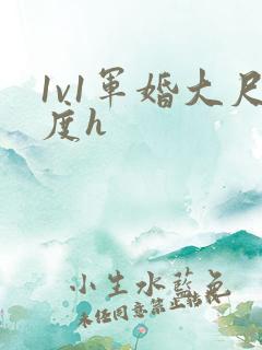 1v1军婚大尺度h
