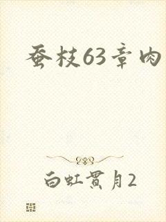 蚕枝63章肉
