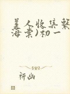 美人收集系统(海棠)初一
