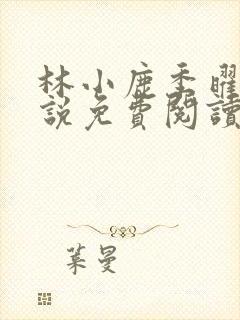 林小鹿季曜珉小说免费阅读