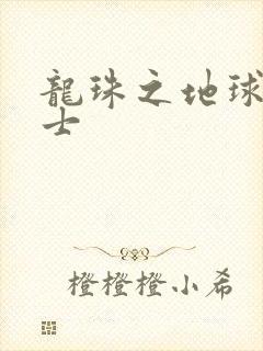 龙珠之地球人战士