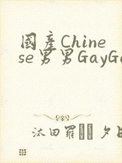 国产Chinese男男GayGayAPP