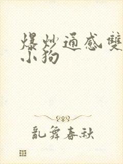 爆炒通感双胞胎小狗