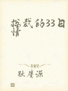 总裁的33日索情