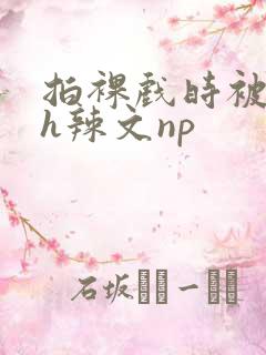 拍裸戏时被c了h辣文np