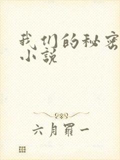 我们的秘密泰剧小说