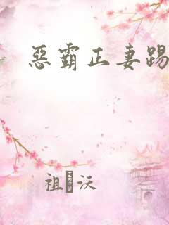 恶霸正妻踢娇妾