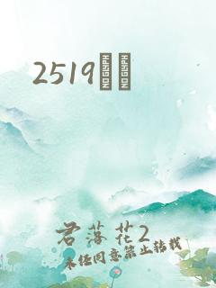 2519С˵