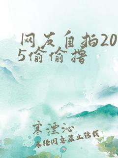网友自拍2015偷偷撸