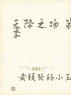 天降之物 第一季