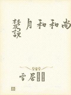 楚月和和尚的小说